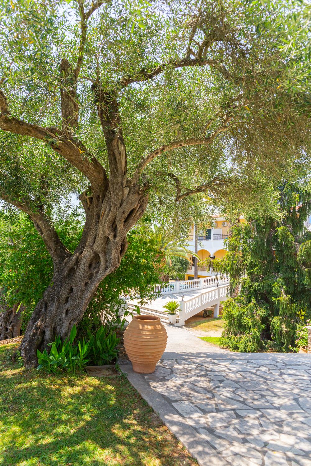 Hotel Paradise Corfu
